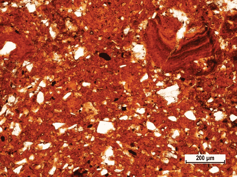 General fabric of fired field sample of mixed terra rossa with siliciclastics (white grains) and pure terra rossa fragments (zoned particle on upper right corner) close to Medulin, South (Red) Istria (Polarizing microscopic image, field sample IST-9, PPL).