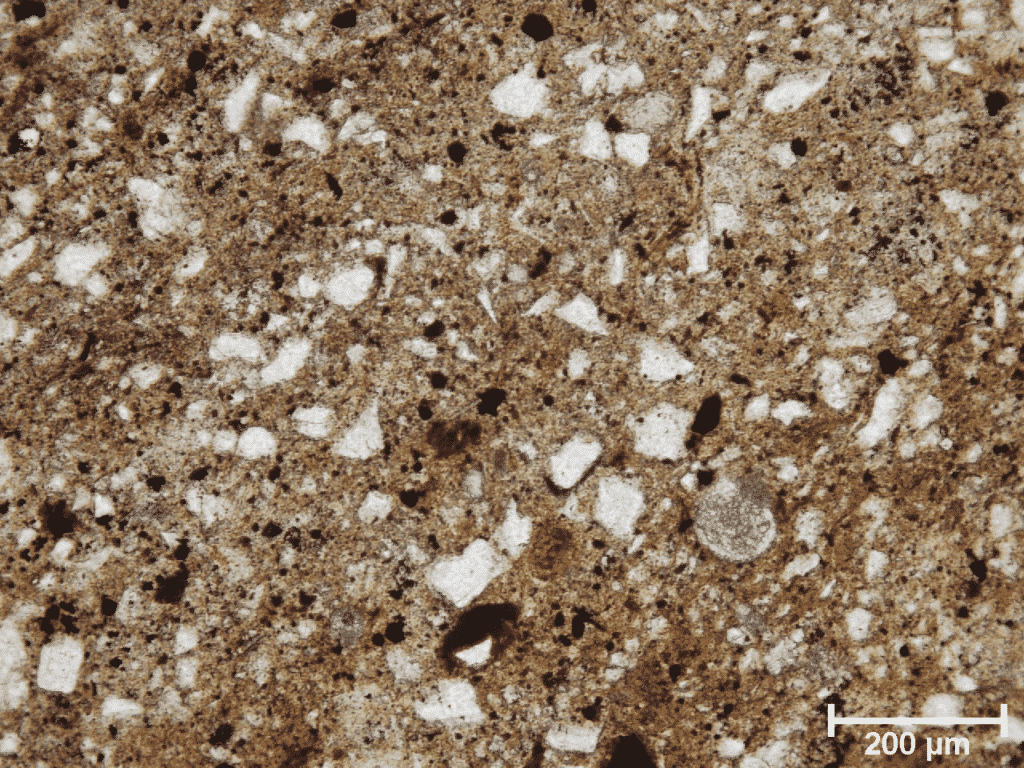 General fabric of fired field sample of flysch-originated recent marine mud from the coast of Koper bay, Northwest (Gray) Istria (Polarizing microscopic image, field sample IST-68, PPL).