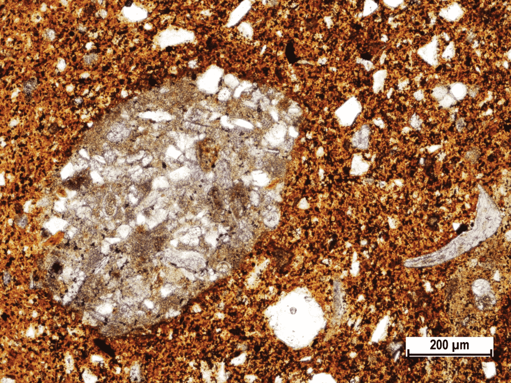 Calcareous sandy flysch rock inclusion in Fažana amphora (Polarizing microscopic image, amphora sample Fažana-67, PPL).