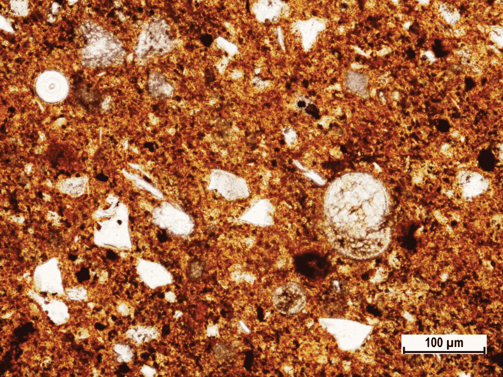 General fabric of Fažana amphorae with siliciclastics (white angular grains) and recent (white sphere in upper left corner) and fossilic (calcareous sphere right from the middle) living being skeletal fragments (Polarizing microscopic image, amphora sample Fažana-6, PPL).