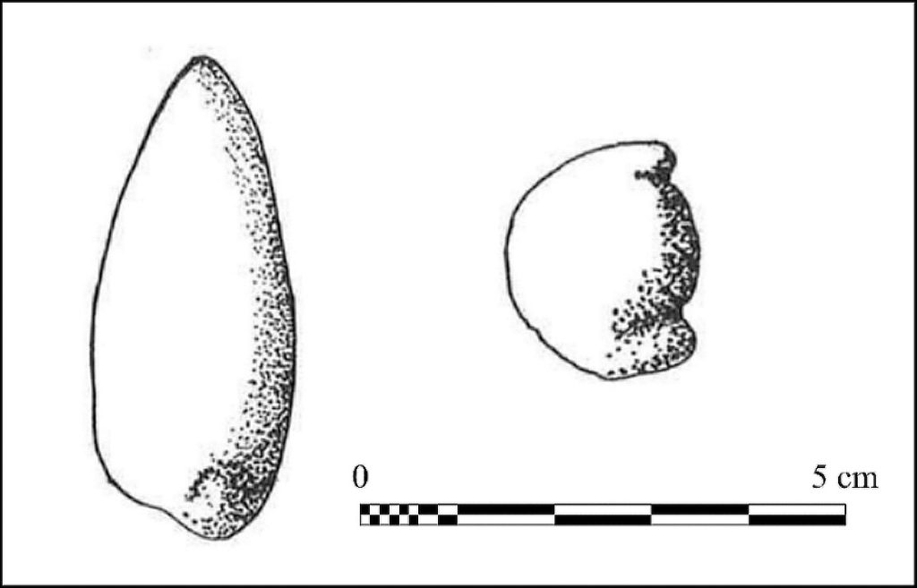 Lyon, “ temple de Cybèle ”. Coprolithes de chien n°1 et 2 (CYB. 96 - D1 - US 125) – 40-20 a.C. (dessin J. Argant 1999).