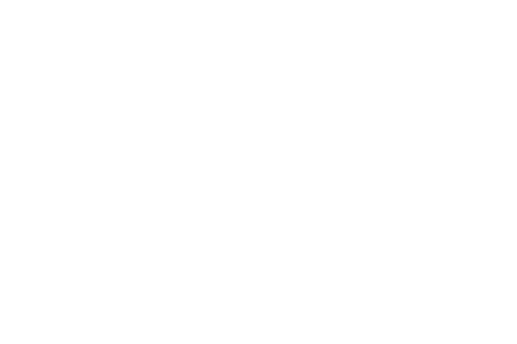 logo PUPPA blanc