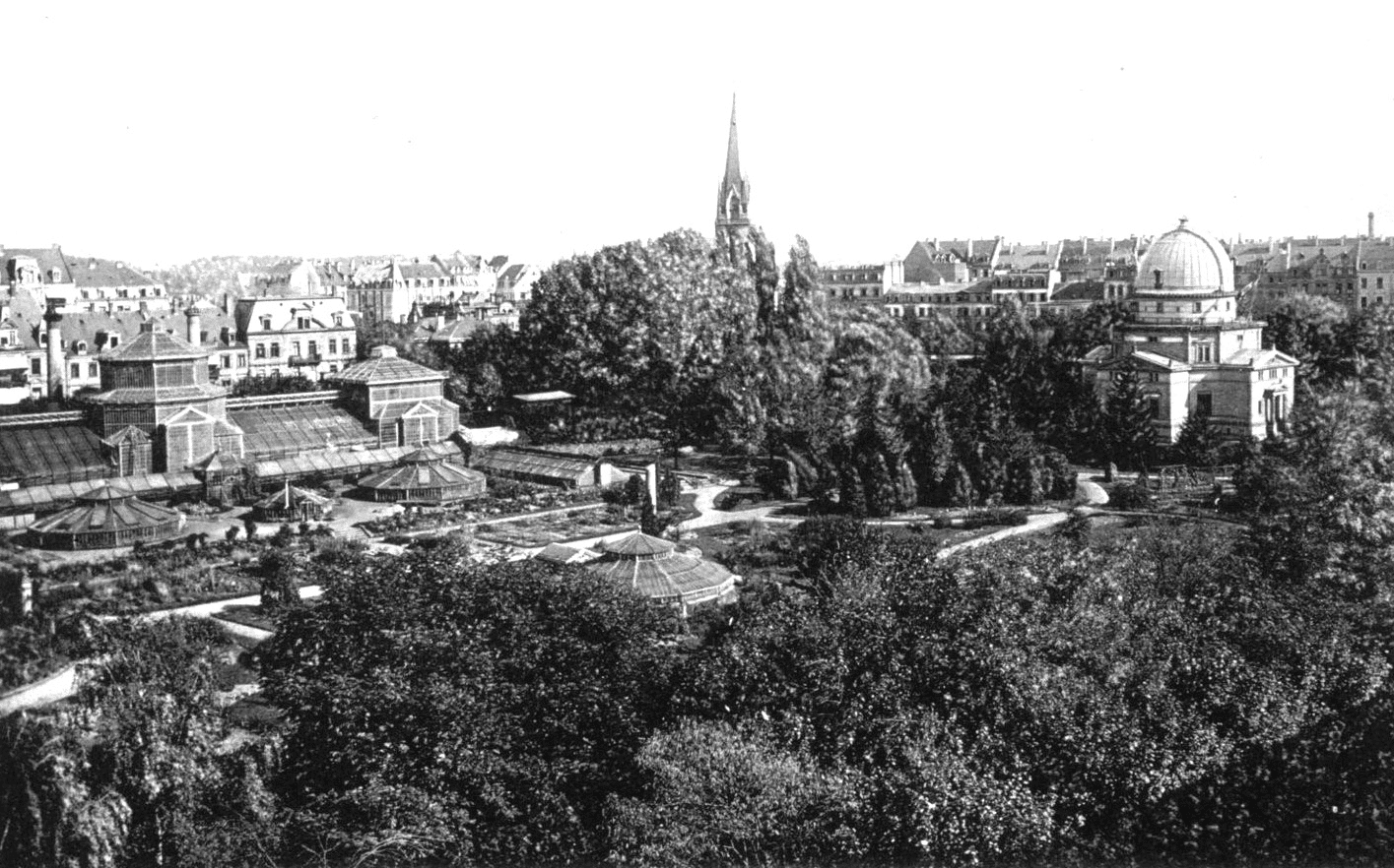 BNUS, photographie du jardin botanique de l’université impériale, 1906