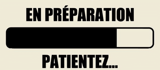 bouton pour signifier que la publication est en cours d'élaboration