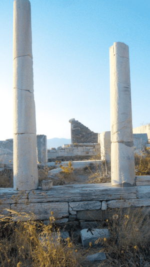 Délos, Héraion. colonnes et vestiges des clôtures d’entrecolonnement du pronaos (vue du sud) (cl. M. Dromain, 2013).