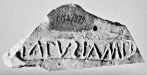 Fig. 5. Tegola con bollo mutilo menzionante T. Apusius Ampliatus conservata presso il Museo della Città di Rimini (da Biordi 2010, 74, fig. 8).