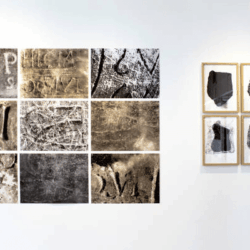 Corpus 1 Pruebas 2, Marie Bonnin © CVZ.