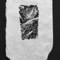 Matière de pierre, galerie d’exposition de la Casa de Velázquez © CVZ.