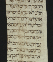 Fragments de l’Ancien Testament, copié au XVe siècle, retrouvé caché dans une reliure de livre profane d’origine madrilène.