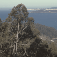 Côte de Marin © A. Padilla Domene.