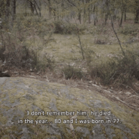 Forêt, Marin. © A. Padilla Domene.