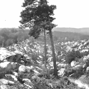 « Le désert d’Apremont », <em>À la France : sites et monuments. Autour de Paris (Seine-et-Oise, Seine-et-Marne, Oise)</em>, 1902, p. 56. Source : <a class="hyperlink" href="https://gallica.bnf.fr/ark:/12148/bpt6k6490962v/f62.item">Gallica BnF</a>.