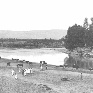 « Medjez-el-Bab - Les bords de la Medjerda », <em>À la France : sites et monuments. Tunisie (Tunis, environs de Tunis, Tunisie septentrionale et Kroumirie, Sousse et Tunisie centrale, Sfax, de Gafsa au Djérid, Gabès et Sud Tunisien, île de Djerba)</em>, 1902, p. 49. Source : <a class="hyperlink" href="https://gallica.bnf.fr/ark:/12148/bpt6k64921189/f55.item">Gallica BnF</a>.