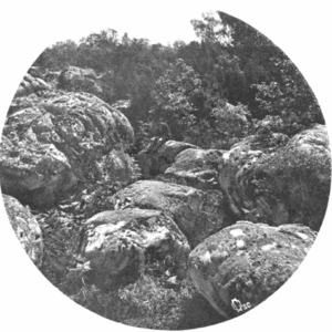 O. Reclus, « Les rochers du carrefour de l’Épine », <em>À la France : sites et monuments. Autour de Paris (Seine-et-Oise, Seine-et-Marne,
Oise)</em>, 1902, p. 55. Source : <a class="hyperlink" href="https://gallica.bnf.fr/ark:/12148/bpt6k6490962v/f61.item">Gallica BnF</a>.