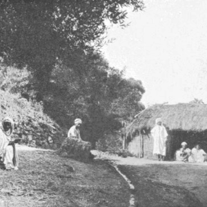 O. Reclus, « En Kroumirie », <em>À la France : sites et monuments. Tunisie (Tunis, environs de Tunis, Tunisie septentrionale et Kroumirie, Sousse et Tunisie centrale, Sfax, de Gafsa au Djérid, Gabès et Sud Tunisien, île de Djerba)</em>, 1902, p. 58. Source : <a class="hyperlink" href="https://gallica.bnf.fr/ark:/12148/bpt6k64921189/f64.item">Gallica BnF</a>.