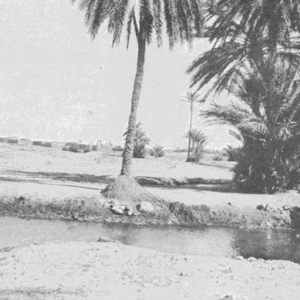 O. Reclus, « Oasis d’El-Oudiane », <em>À la France : sites et monuments. Tunisie (Tunis, environs de Tunis, Tunisie septentrionale et Kroumirie, Sousse et Tunisie centrale, Sfax, de Gafsa au Djérid, Gabès et Sud Tunisien, île de Djerba)</em>, 1902, p. 98. Source : <a class="hyperlink" href="https://gallica.bnf.fr/ark:/12148/bpt6k64921189/f104.item">Gallica BnF</a>.