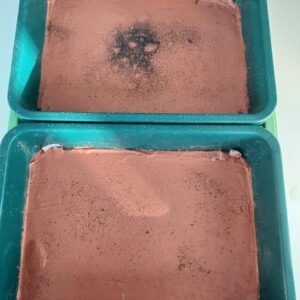 Leçons de chausses, performance de Gérard Hauray, puis mise en culture des captations de poussières