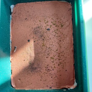 Leçons de chausses, performance de Gérard Hauray, puis mise en culture des captations de poussières