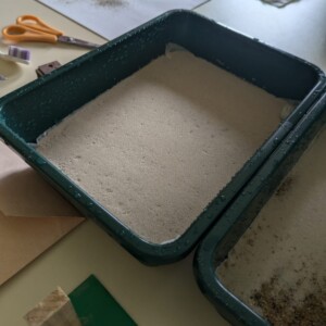 Leçons de chausses, performance de Gérard Hauray, puis mise en culture des captations de poussières